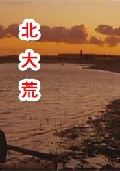 91精品国产777在线观看